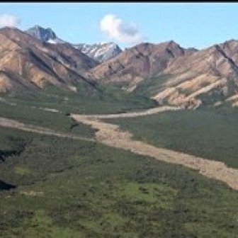 Screen Shot 2016-07-14 at 11.06.20 PM.jpg